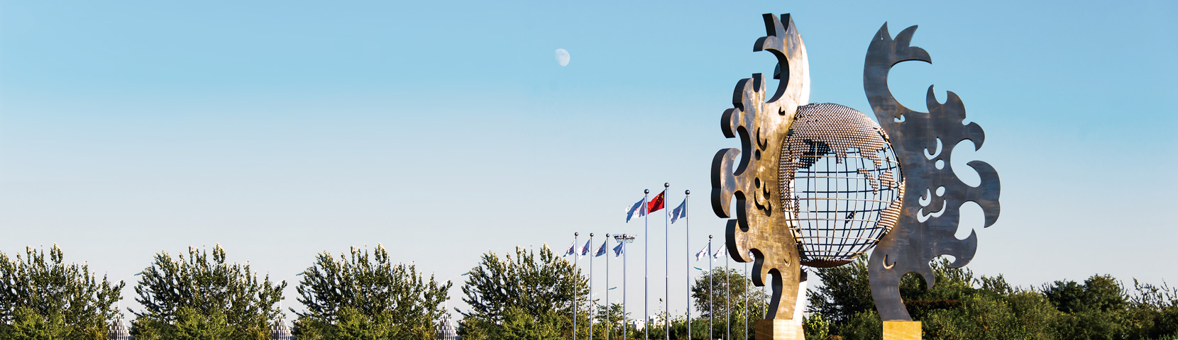 全网担保网文化