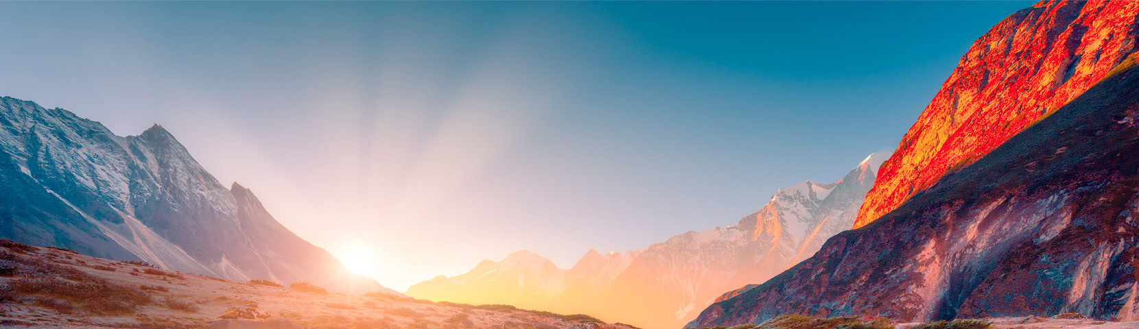 关于全网担保网